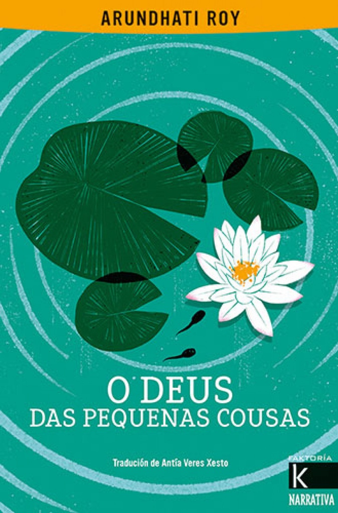 O DEUS DAS PEQUENAS COUSAS - Arundhati Roy