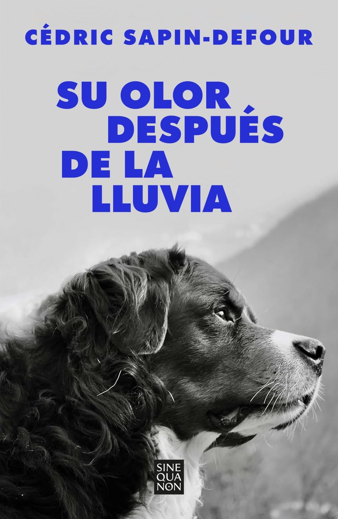 SU OLOS DESPUÉS DE LA LLUVIA - Cédric Sapin-Defour