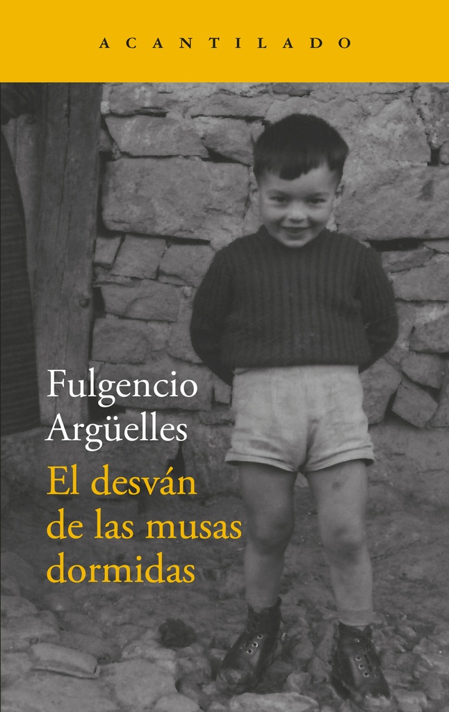 EL DESVÁN DE LAS MUSAS PERDIDAS - Fulgencio Argüelles