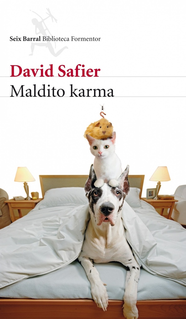 MALDITO KARMA - David Safier