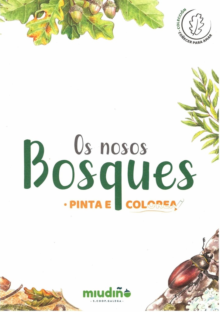 OS NOSOS BOSQUES, PINTA E COLOREA