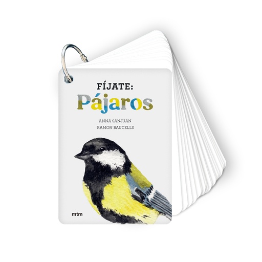 FÍJATE : PÁJAROS