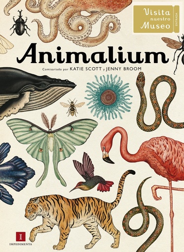 [UDL - Alb.] ANIMALIUM - Katie Scott e Jenny Broom