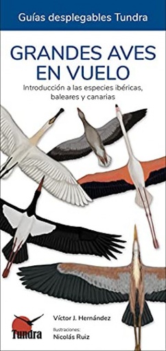 GRANDES AVES EN VUELO - Víctor J. Hernández